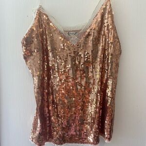 Free People glitter lace top.